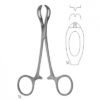 Lane Dissecting Forceps 195mm