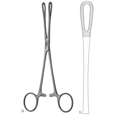 Rampley Dressing And Sponge Holding Forceps 250mm