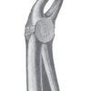 Extracting Forceps MSS-116-21