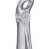 Extracting Forceps MSS-122-21