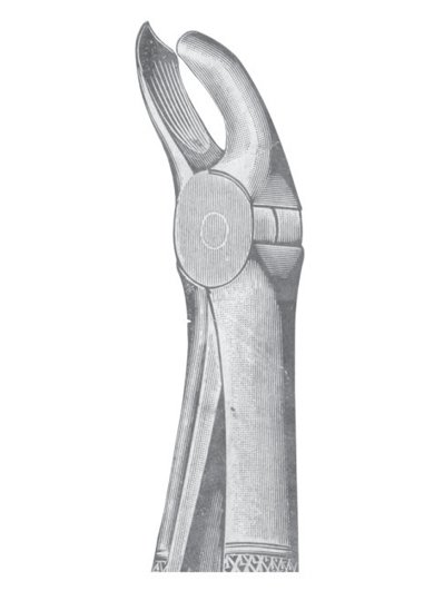 Extracting Forceps MSS-124-21