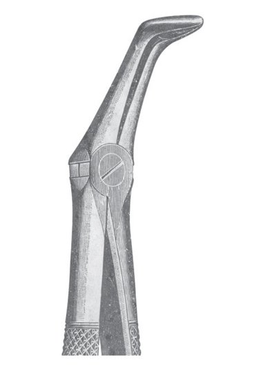 Extracting Forceps MSS-131-21
