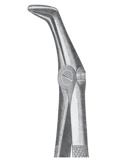Extracting Forceps MSS-132-21