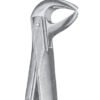 Extracting Forceps MSS-134-21
