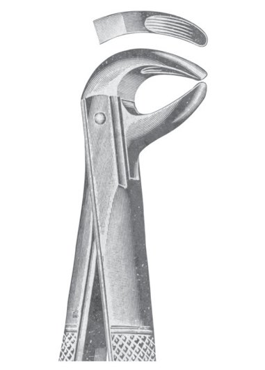 Extracting Forceps MSS-134-21