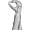 Extracting Forceps MSS-135-21