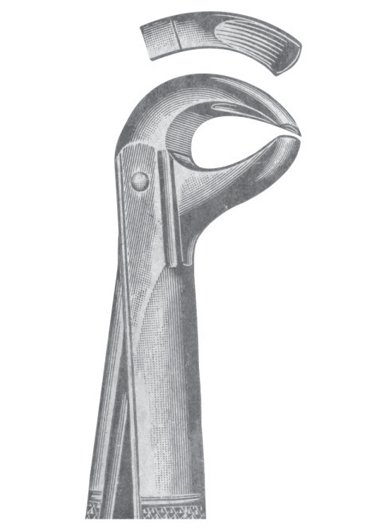 Extracting Forceps MSS-136-21