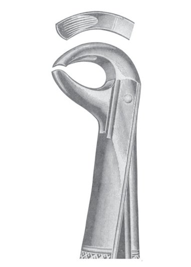 Extracting Forceps MSS-137-21