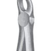 Extracting Forceps MSS-138-21