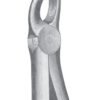 Extracting Forceps MSS-139-21