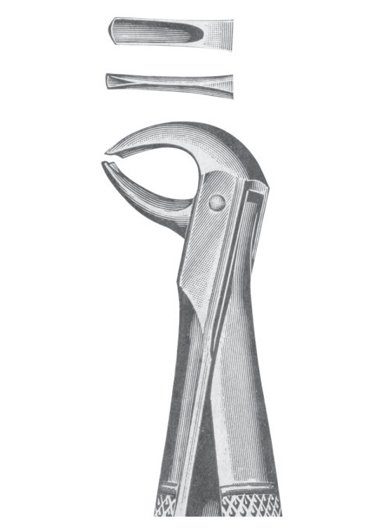 Extracting Forceps MSS-141-21