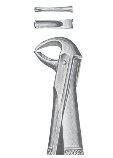 Extracting Forceps MSS-142-21