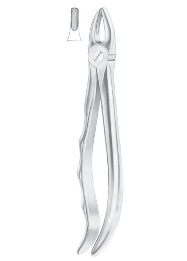 Extracting Forceps MSS-143-21