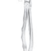 Extracting Forceps MSS-144-21