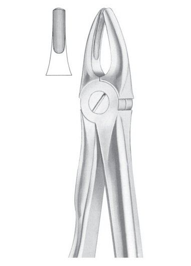 Extracting Forceps MSS-145-21