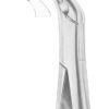 Lower Incisors, Premolars, Roots Extracting Forceps