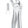 Lower Incisors and Canines Extracting Forceps 2