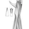 Lower Molars Extracting Forceps