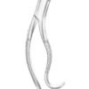 Lower Molars Extracting Forceps
