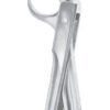 Lower Molars Extracting Forceps