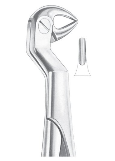 Lower Molars and Wisdom Right Extracting Forceps