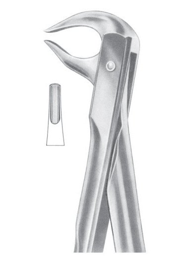 Lower Premolars and Roots Extracting Forceps