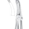 Lower Roots Extracting Forceps 2