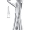 Lower Roots Extracting Forceps