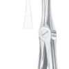 Lower Roots Extracting Forceps