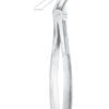 Resection Forceps ( 216 witzel) Upper Roots Extracting Forceps