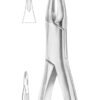 Upper Anteriors and Roots Extracting Forceps