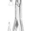 Upper Incisors Extracting Forceps 2