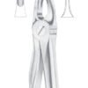 Upper Incisors and Canines Extracting Forceps 2