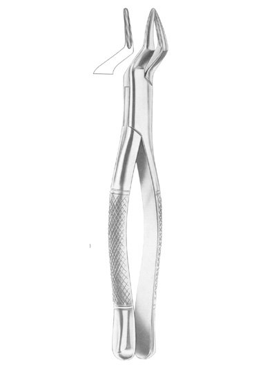 Upper Incisors and Roots Extracting Forceps