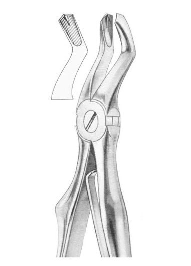 Upper Molars Extracting Forceps 2