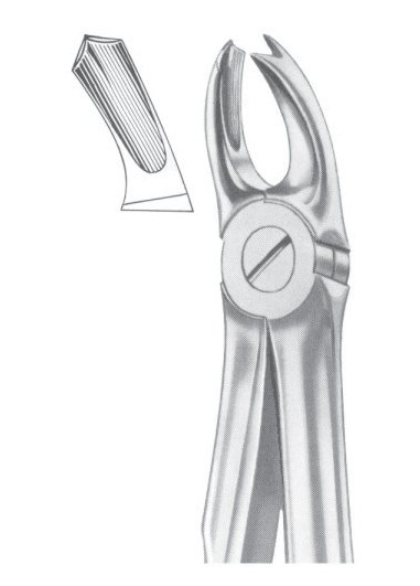 Upper Molars Right Extracting Forceps