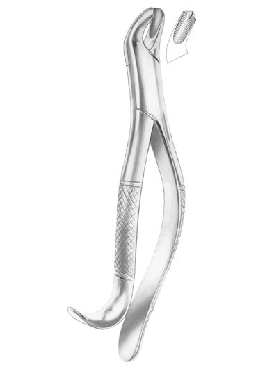 Upper Molars Right Extracting Forceps