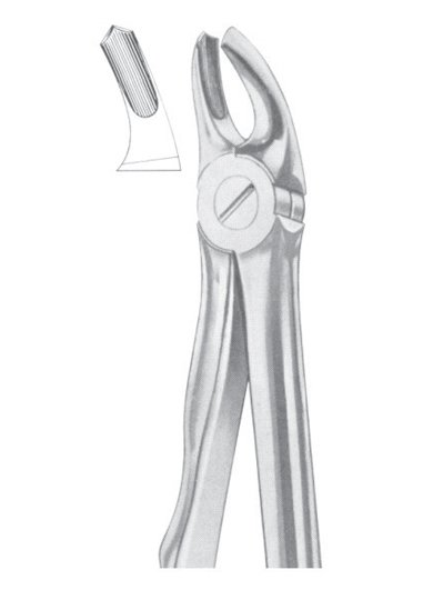 Upper Molars Right for Children Extracting Forceps