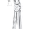 Upper Molars for Children Extracting Forceps 2
