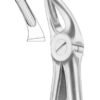 Upper Premolars and Roots Extracting Forceps