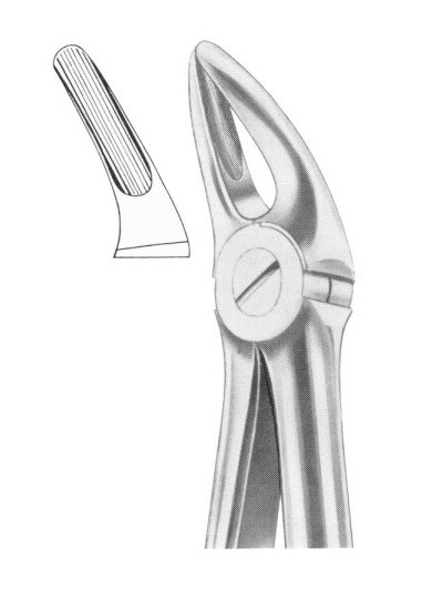 Upper Premolars and Roots Extracting Forceps