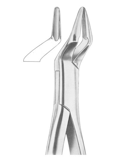 Upper Premolars and Roots Extracting Forceps