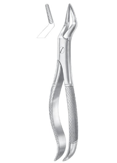 Upper Premolers and Roots Extracting Forceps