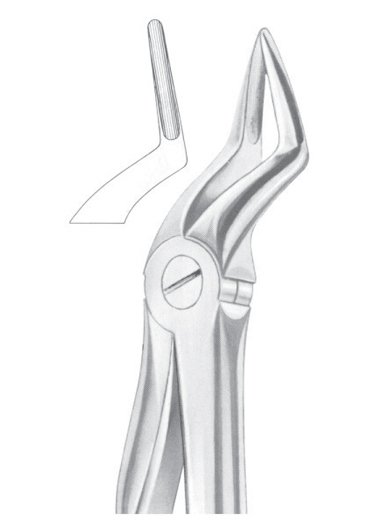 Upper Roots Extracting Forceps 2