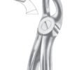 Upper Third Molars Extracting Forceps