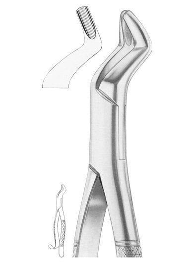 Upper Third Molars Extracting Forceps