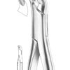 Upper and Lower Premolars Extracting Forceps 2