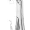 Lower Teeth for Children Extracting Forceps 2